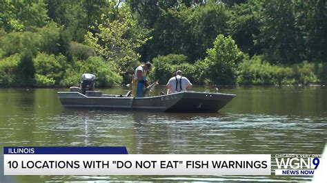 Illinois officials: 'Do not eat' these fish from these 10 bodies of water in the state